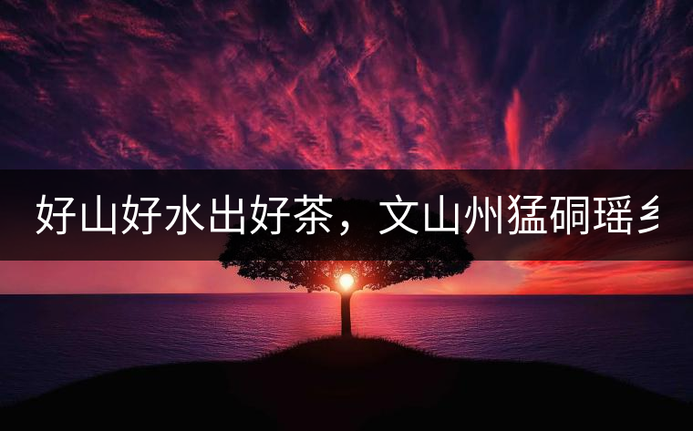 好山好水出好茶，文山州猛硐瑤鄉(xiāng)茶！