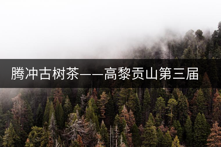 騰沖古樹茶——高黎貢山第三屆茶文化節(jié)