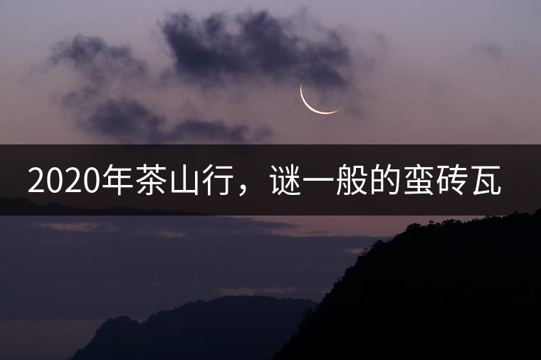 2020年茶山行，謎一般的蠻磚瓦竜古茶山