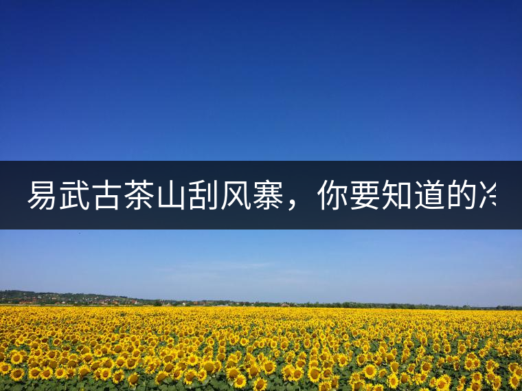 易武古茶山刮風(fēng)寨，你要知道的冷知識(shí)！