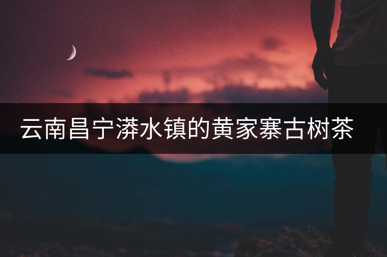 云南昌寧漭水鎮(zhèn)的黃家寨古樹茶特點(diǎn)介紹
