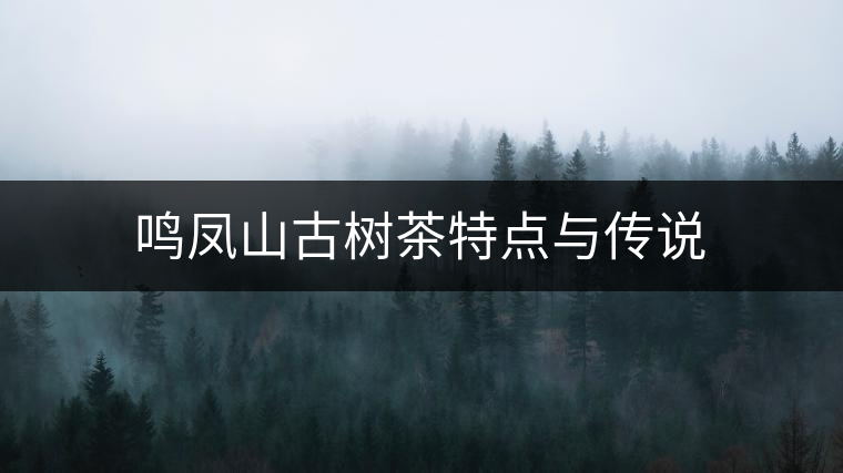 鳴鳳山古樹茶特點(diǎn)與傳說