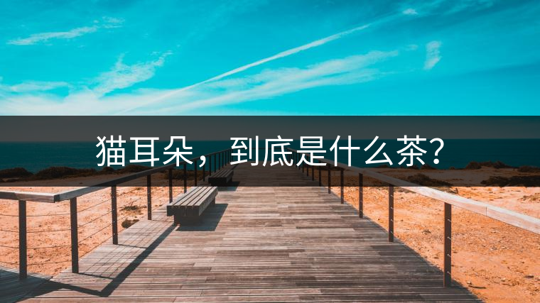 貓耳朵，到底是什么茶？