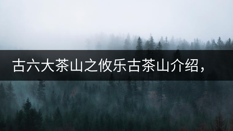 古六大茶山之攸樂古茶山介紹，攸樂古樹茶口感特點