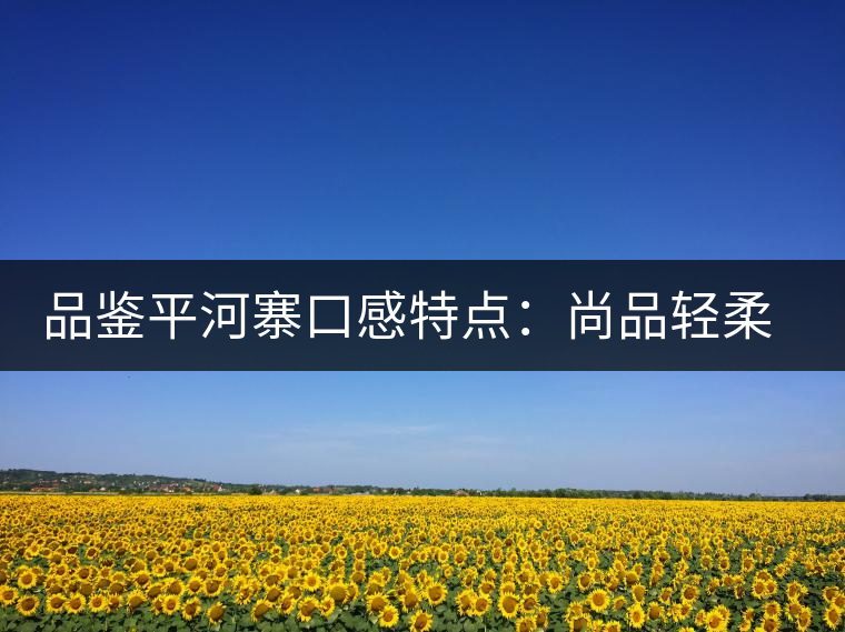 品鑒平河寨口感特點(diǎn)：尚品輕柔，清涼獨(dú)特