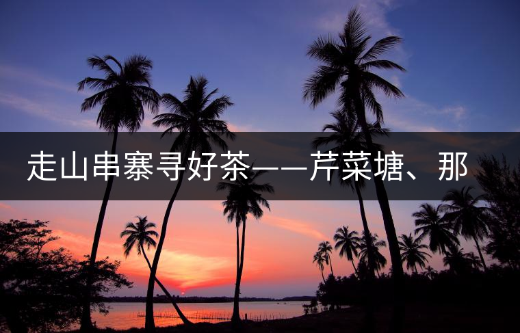 走山串寨尋好茶——芹菜塘、那罕、曼崗、昔歸