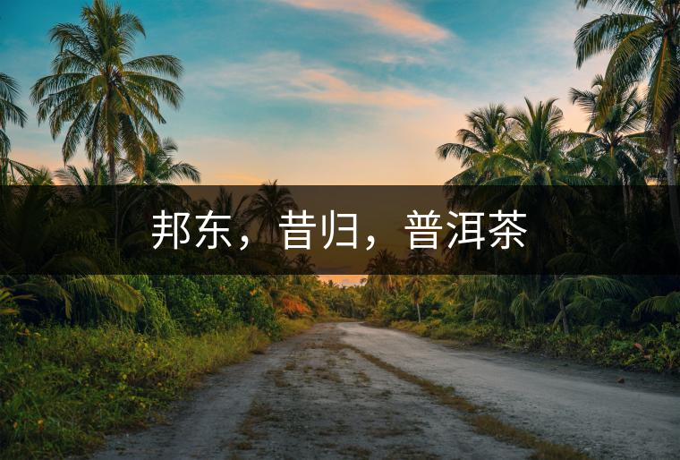 邦東，昔歸，普洱茶