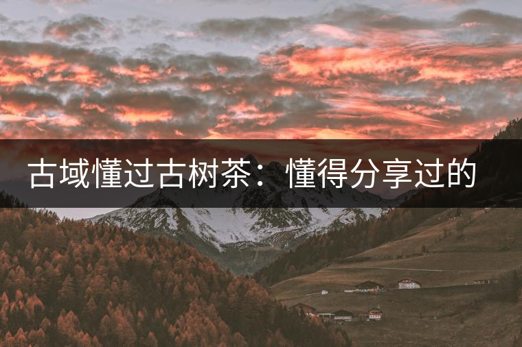 古域懂過古樹茶：懂得分享過的快樂，方為懂過