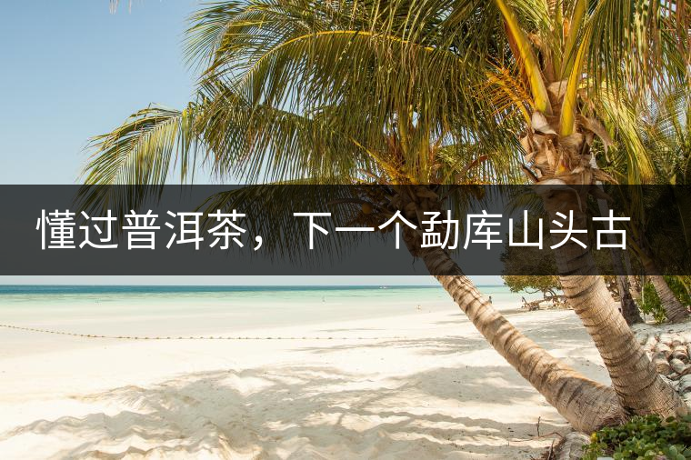 懂過普洱茶，下一個(gè)勐庫山頭古純的引爆點(diǎn)