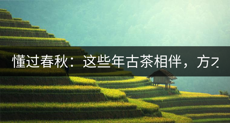 懂過春秋：這些年古茶相伴，方才懂過！