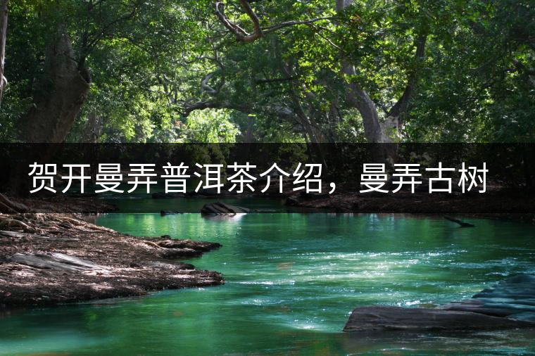 賀開曼弄普洱茶介紹，曼弄古樹茶口感特點(diǎn)