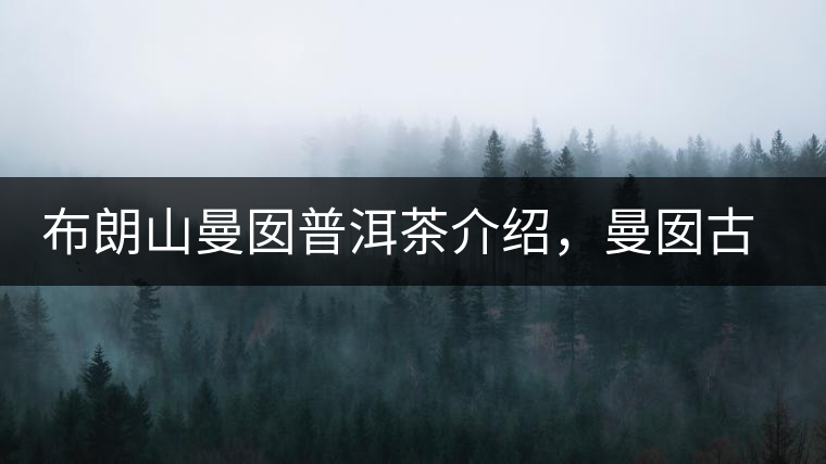 布朗山曼囡普洱茶介紹，曼囡古樹茶口感特點(diǎn)