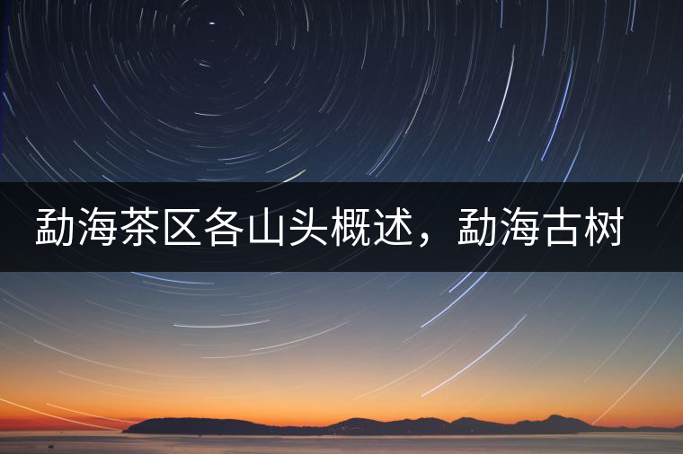 勐海茶區(qū)各山頭概述，勐海古樹茶口感特點