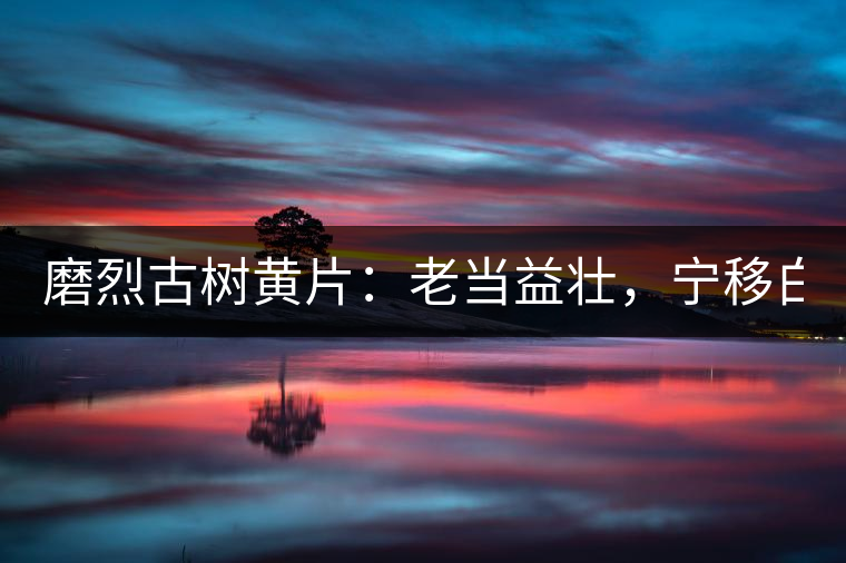 磨烈古樹黃片：老當(dāng)益壯，寧移白首之心！