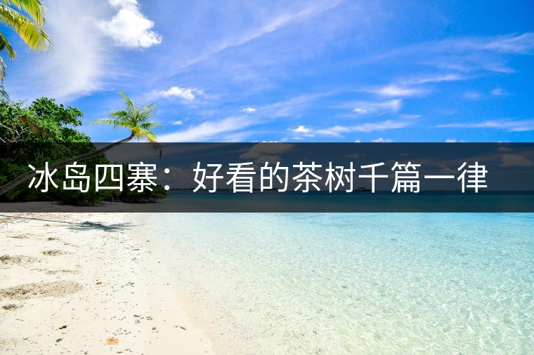 冰島四寨：好看的茶樹千篇一律，有趣的風(fēng)景萬里