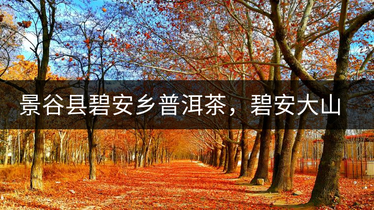 景谷縣碧安鄉(xiāng)普洱茶，碧安大山古樹茶口感特點