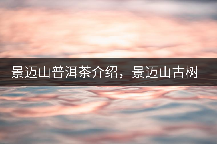 景邁山普洱茶介紹，景邁山古樹茶口感特點