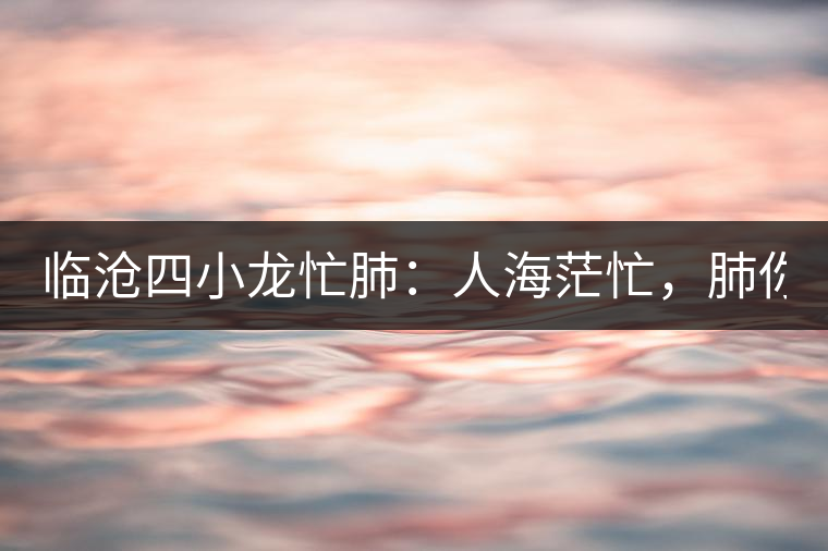 臨滄四小龍忙肺：人海茫忙，肺你莫屬！