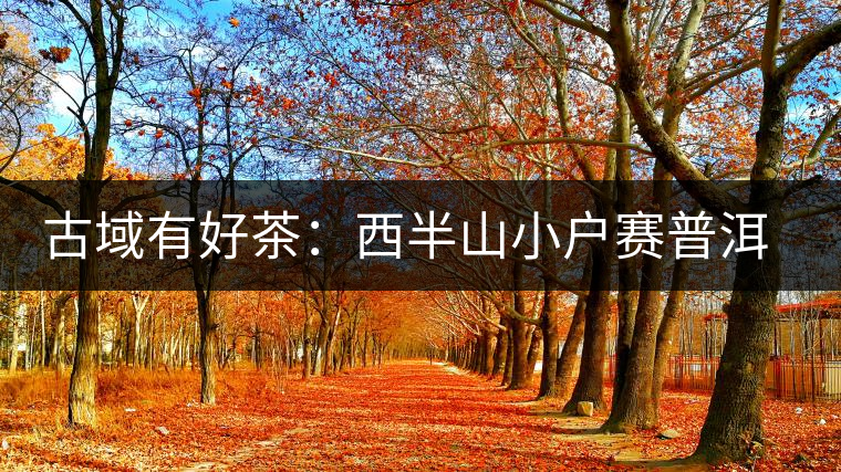 古域有好茶:西半山小戶(hù)賽普洱茶特點(diǎn) 古域有好茶:西半山小戶(hù)賽普洱茶特點(diǎn)