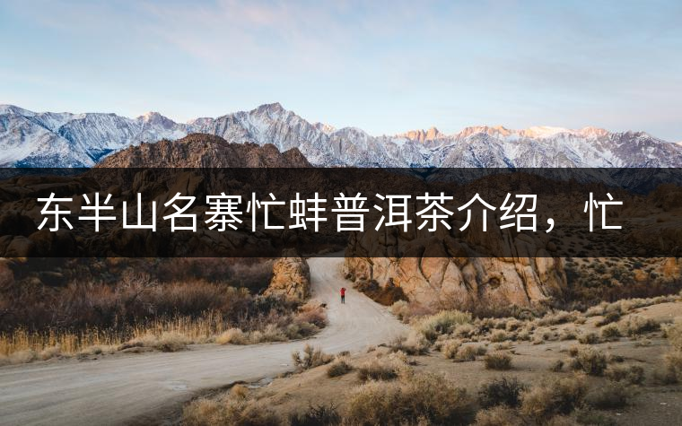 東半山名寨忙蚌普洱茶介紹，忙蚌古樹茶口感特點(diǎn)