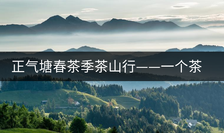 正氣塘春茶季茶山行——一個(gè)茶人的承諾 正氣塘春茶季茶山行——一個(gè)茶人的承諾