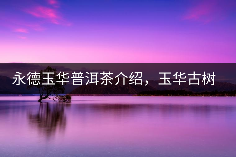 永德玉華普洱茶介紹，玉華古樹茶口感特點(diǎn)