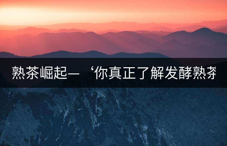 熟茶崛起—‘你真正了解發(fā)酵熟茶？’