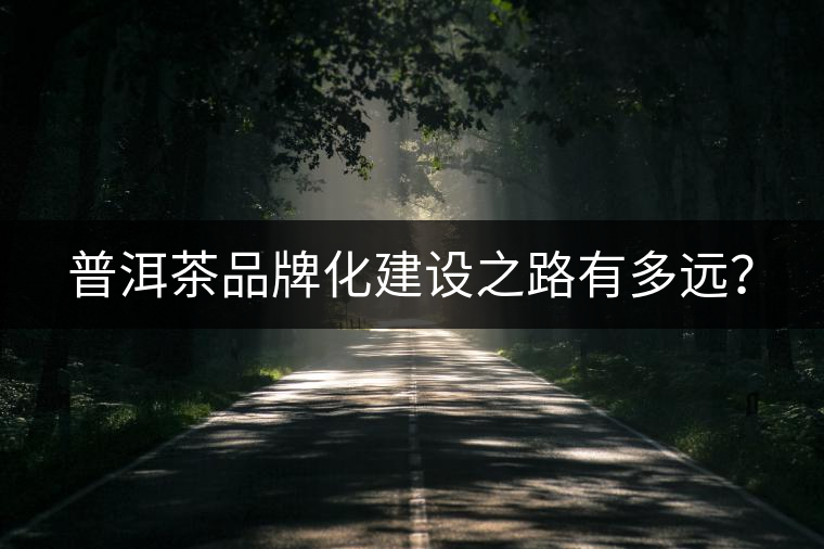 普洱茶品牌化建設(shè)之路有多遠？