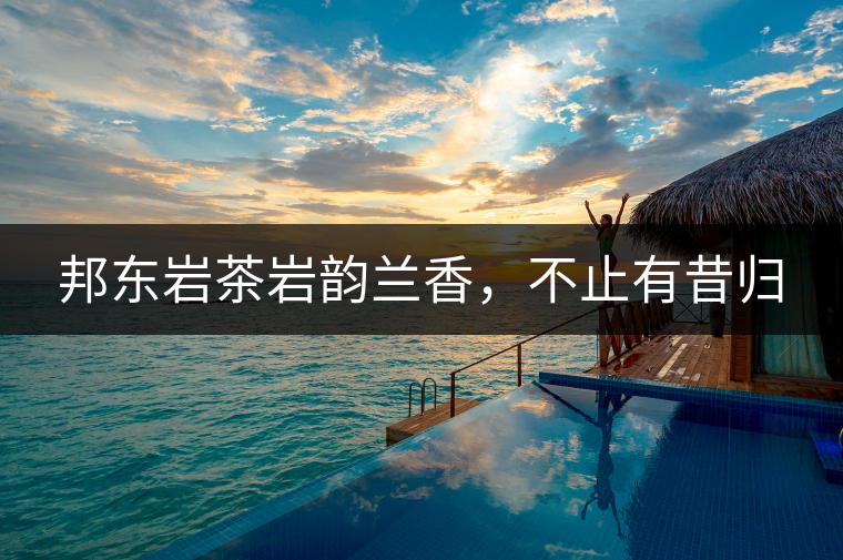 邦東巖茶巖韻蘭香，不止有昔歸