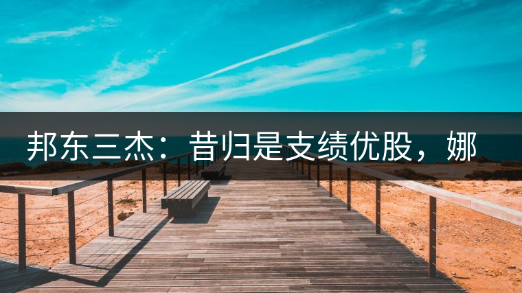 邦東三杰：昔歸是支績(jī)優(yōu)股，娜罕是支潛力股