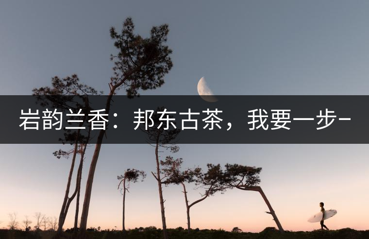 巖韻蘭香：邦東古茶，我要一步一步往上爬！