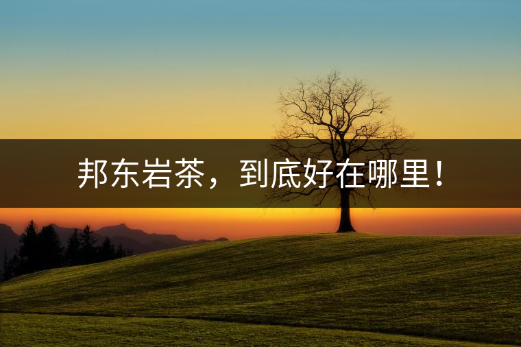 邦東巖茶，到底好在哪里！