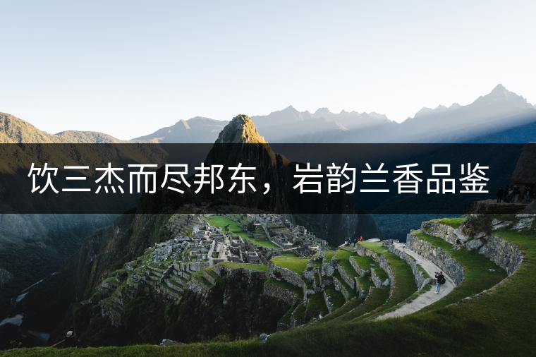 飲三杰而盡邦東，巖韻蘭香品鑒：生于山石上，韻味正當