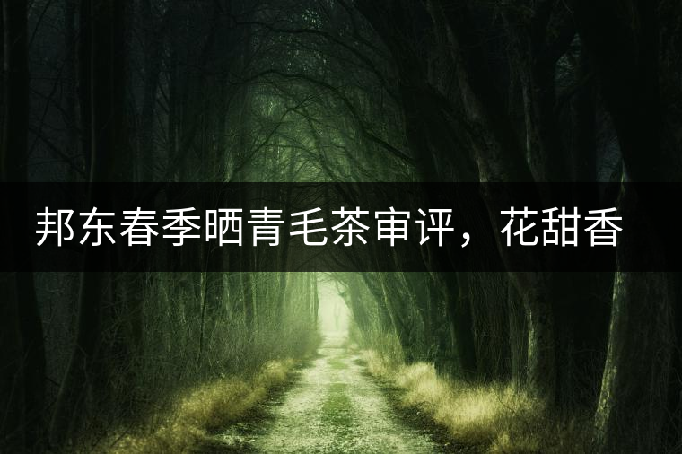邦東春季曬青毛茶審評(píng)，花甜香高揚(yáng)甘爽潤(rùn)滑