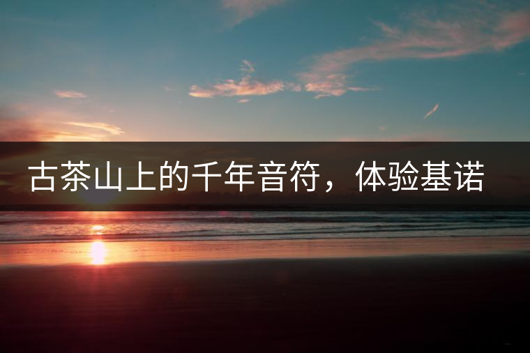 古茶山上的千年音符，體驗基諾山寨