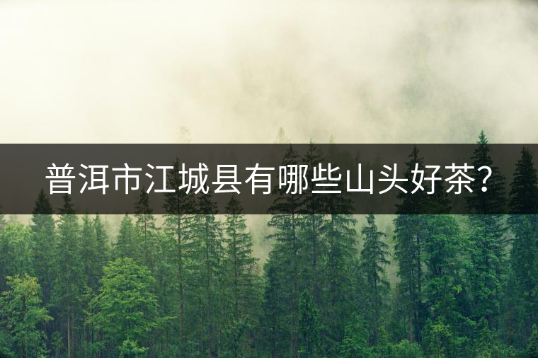 普洱市江城縣有哪些山頭好茶？