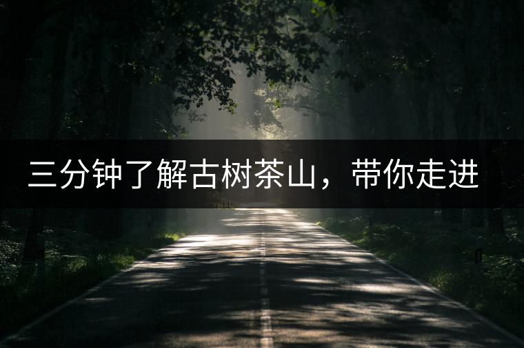 三分鐘了解古樹(shù)茶山，帶你走進(jìn)西蒙佛殿山