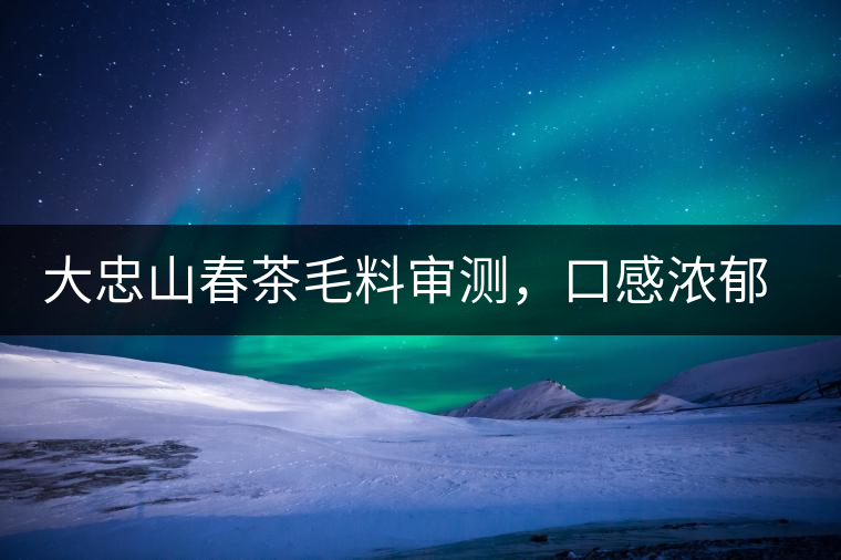大忠山春茶毛料審測(cè)，口感濃郁花香與甜潤(rùn)口感相得益彰