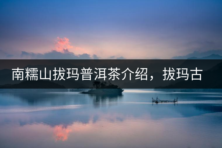 南糯山拔瑪普洱茶介紹，拔瑪古樹茶口感特點(diǎn)