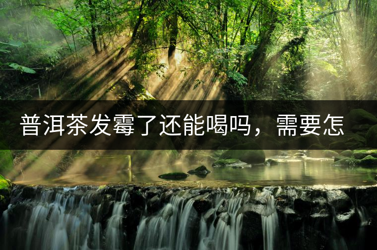 普洱茶發(fā)霉了還能喝嗎，需要怎么處理？