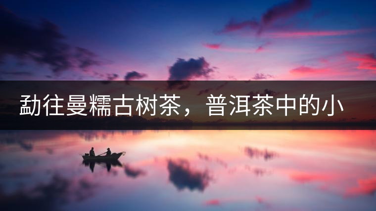 勐往曼糯古樹茶，普洱茶中的小班章