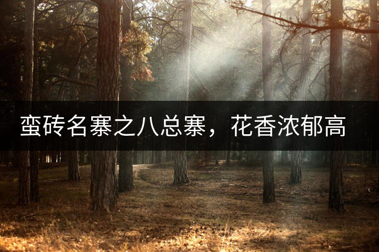 蠻磚名寨之八總寨，花香濃郁高揚(yáng)