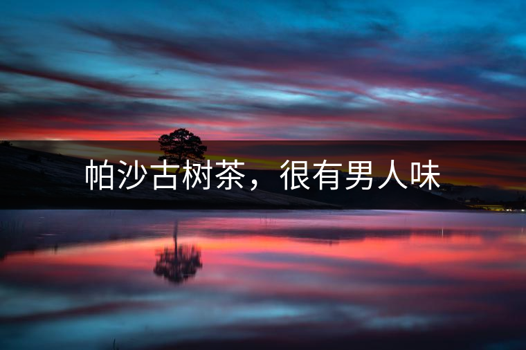 帕沙古樹茶，很有男人味