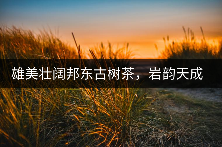 雄美壯闊邦東古樹茶，巖韻天成甘香鮮靈