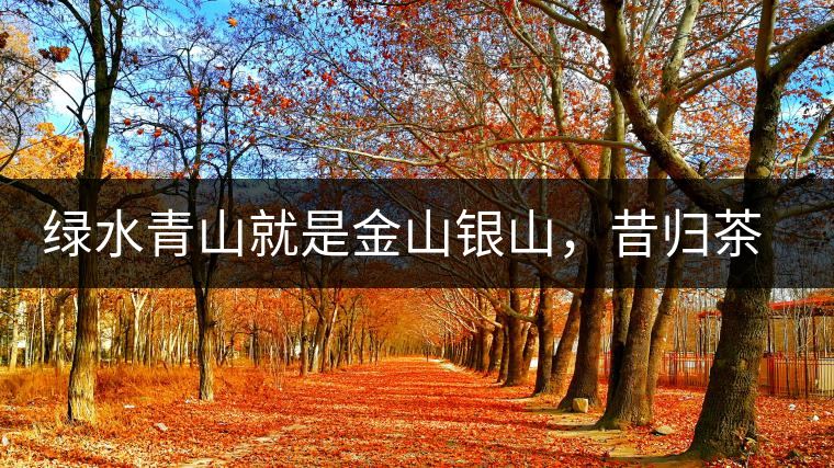 綠水青山就是金山銀山，昔歸茶農(nóng)唱著“茶歌”奔小康