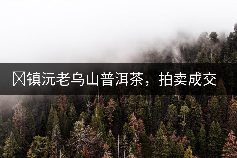 ?鎮(zhèn)沅老烏山普洱茶，拍賣成交價再創(chuàng)新高