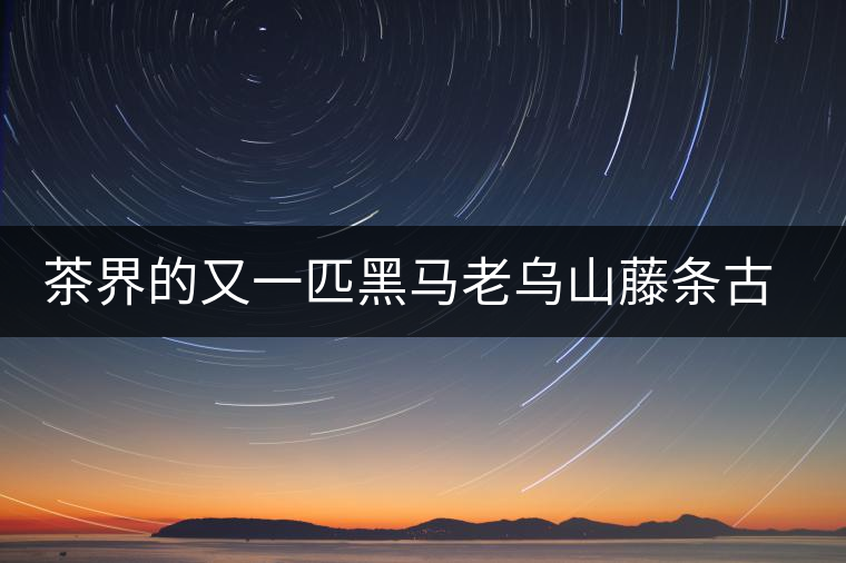 茶界的又一匹黑馬老烏山藤條古樹(shù)普洱茶特點(diǎn)介紹