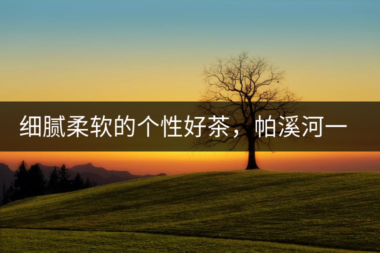 細(xì)膩柔軟的個性好茶，帕溪河一扇磨古樹茶