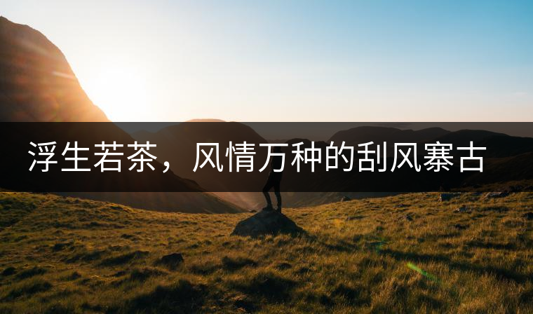 浮生若茶，風情萬種的刮風寨古樹茶