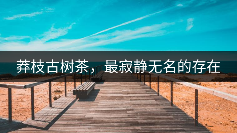莽枝古樹(shù)茶，最寂靜無(wú)名的存在